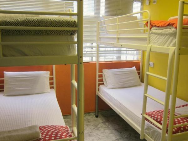 Hostel David Lounge *